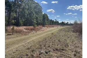 0 Old Grade Road, Polk City, FL 33868 - MLS#F10554424