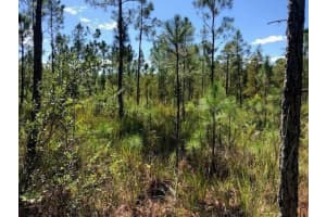 0 Old Grade Road, Polk City, FL 33868 - MLS#F10554434
