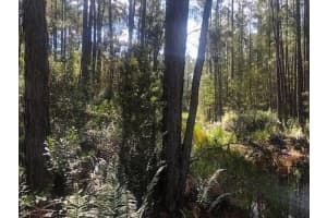 0 Old Grade Road, Polk City, FL 33868 - MLS#F10554444