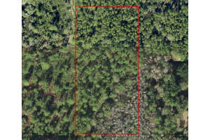 0 Alligator Road, Clermont, FL 33868 - MLS#F10554722