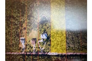 00 Golden Gate Estate, Naples, FL 34117 - MLS#F10555137