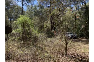 2361 178 Street, Summerfield, FL 34491 - MLS#F10555193