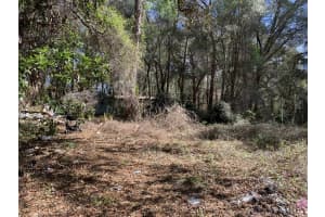 2361 178 Street, Summerfield, FL 34491 - MLS#F10555193