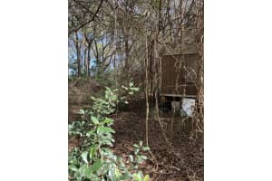 2361 178 Street, Summerfield, FL 34491 - MLS#F10555193