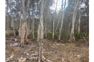 0 Turnpike Feeder Road, Fort Pierce, FL 34945 - MLS#F10555215