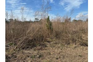 0 Old Grade Road, Polk City, FL 33868 - MLS#F10555225