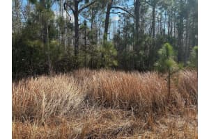 0 Old Grade Road, Polk City, FL 33868 - MLS#F10555225