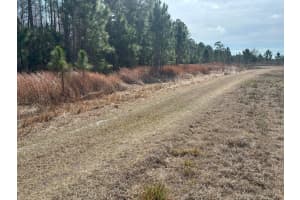 0 Old Grade Road, Polk City, FL 33868 - MLS#F10555225