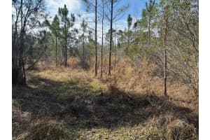 0 Old Grade Road, Polk City, FL 33868 - MLS#F10555231