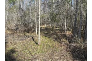0 Old Grade Road, Polk City, FL 33868 - MLS#F10555231