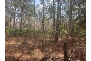 0 Old Grade Road, Polk City, FL 33868 - MLS#F10555597