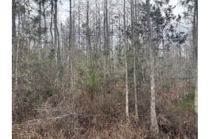 0 Old Grade Road, Polk City, FL 33868 - MLS#F10555598