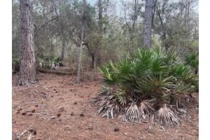 0 Old Grade Road, Polk City, FL 33868 - MLS#F10555609