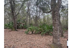 0 Old Grade Road, Polk City, FL 33868 - MLS#F10555613