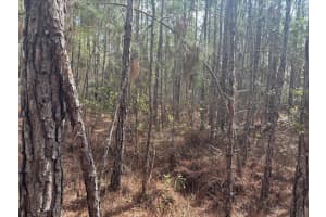 0 Old Grade Road, Polk City, FL 33868 - MLS#F10555617