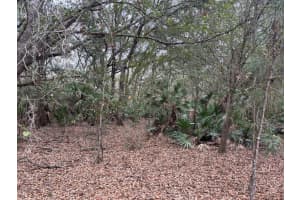 0 Old Grade Road, Polk City, FL 33868 - MLS#F10555626