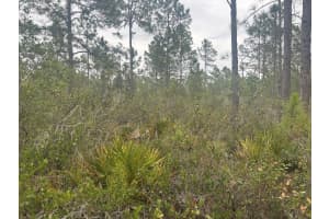 0 Old Grade Road, Polk City, FL 33868 - MLS#F10555646