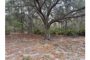 0 Old Grade Road, Polk City, FL 33868 - MLS#F10555653