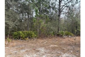 0 Old Grade Road, Polk City, FL 33868 - MLS#F10555653