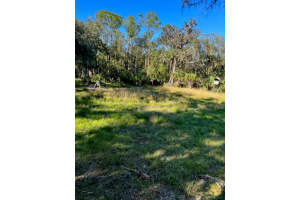 1040 Cracker Hammock, Sebring, FL 33875, Sebring, FL 33875 - MLS#F10555756