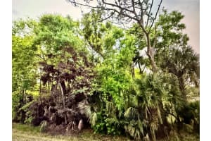 2551 35th Drive, Okeechobee, FL 34972 - MLS#F10555821