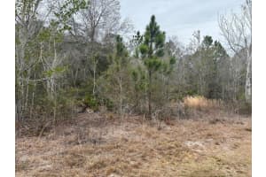 0 Old Grade Road, Polk City, FL 33868 - MLS#F10555853