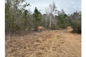 0 Old Grade Road, Polk City, FL 33868 - MLS#F10555853