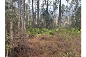 0 Old Grade Road, Polk City, FL 33868 - MLS#F10555861