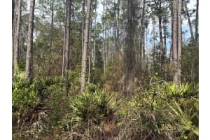 0 Old Grade Road, Polk City, FL 33868 - MLS#F10555861