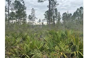 0 Old Grade Road, Polk City, FL 33868 - MLS#F10555869