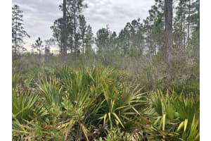 0 Old Grade Road, Polk City, FL 33868 - MLS#F10555869