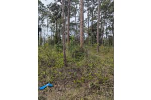 5421 Royal Palm Beach Boulevard, West Palm Beach, FL 33411 - MLS#F10555976