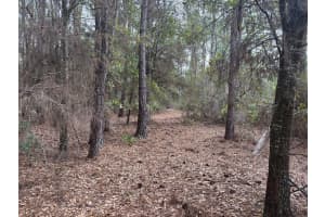 0 Old Grade Road, Polk City, FL 33868 - MLS#F10556107