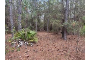 0 Old Grade Road, Polk City, FL 33868 - MLS#F10556107