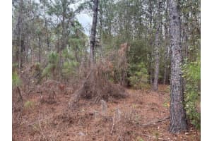0 Old Grade Road, Polk City, FL 33868 - MLS#F10556107