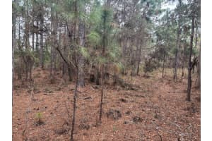 0 Old Grade Road, Polk City, FL 33868 - MLS#F10556184