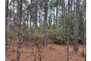 0 Old Grade Road, Polk City, FL 33868 - MLS#F10556184