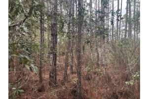 0 Old Grade Road, Polk City, FL 33868 - MLS#F10556195