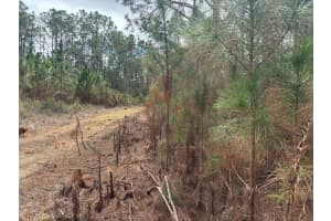 0 Old Grade Road, Polk City, FL 33868 - MLS#F10556205