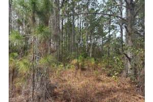 0 Old Grade Road, Polk City, FL 33868 - MLS#F10556205