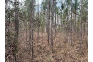 0 Old Grade Road, Polk City, FL 33868 - MLS#F10556215