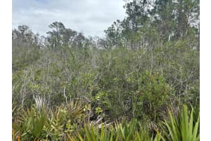 0 Old Grade Road, Polk City, FL 33868 - MLS#F10556222