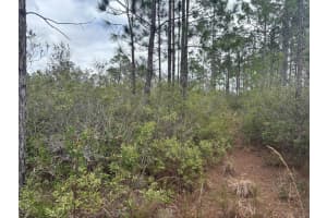 0 Old Grade Road, Polk City, FL 33868 - MLS#F10556222