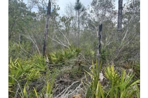 0 Old Grade Road, Polk City, FL 33868 - MLS#F10556321