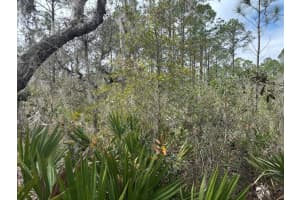 0 Old Grade Road, Polk City, FL 33868 - MLS#F10556322