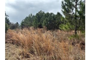 0 Old Grade Road, Polk City, FL 33868 - MLS#F10556335