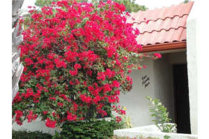 199 SE 7th St, Deerfield Beach, FL 33441, Sold 04/23/13