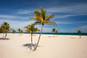 1692 S Ocean Ln, Fort Lauderdale, FL 33316, Sold 04/29/14