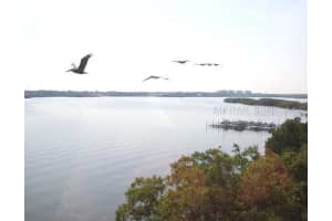 8635 Midnight Pass Rd, Sarasota, FL 34242, Sold 05/15/12
