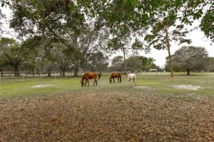 5441 Howard Creek Rd, Sarasota, FL 34241, Sold 05/12/16